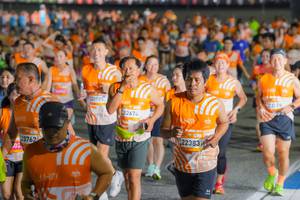 BIB: 237625, 23725, 22674, 22383
                            <button type="button" onclick="openModal(22825200)" class="btn btn-primary btn-sm float-right btn-popup" data-toggle="modal" data-target=".modal-high-quality">
                        <i class="fas fa-shopping-cart"></i> Add to Cart
                    </button>
                                            <button type="button" onclick="isThisMe(22825200, true)" class="btn btn-success btn-sm float-right btn-popup btn-isme hidden" data-toggle="tooltip" data-placement="bottom" title="นี่คือรูปของคุณใช่ไหม คลิกที่นี่เพื่อเอาเข้าอัลบั้ม">
                        <i class="fas fa-plus"></i> Add to album
                    </button>
                    <button type="button" onclick="isThisMe(22825200, false)" class="btn btn-warning btn-sm float-right btn-popup btn-isnotme hidden">
                        <i class="fas fa-ban"></i> Remove from album
                    </button>